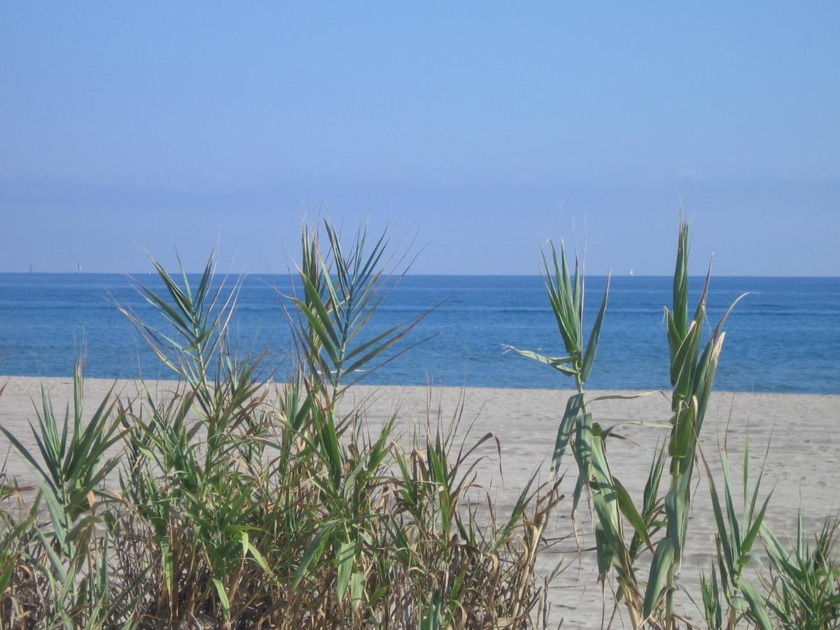 Studio vue sur la mer au 6ème et dernier étage Canet-en-Roussillon Extérieur photo